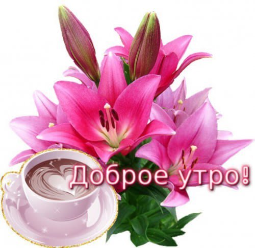 доброе утро
