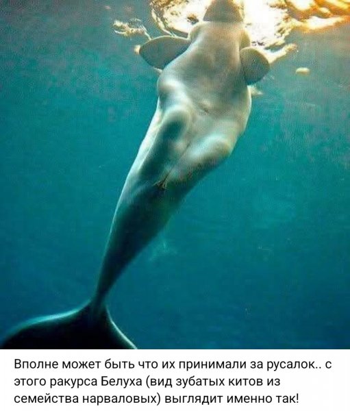 IMG-1a0016abfc036cb68c88e8916ab34084-V