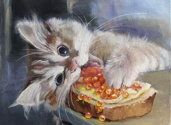 Ce544fe6456fe4c070c976a04c8d8871