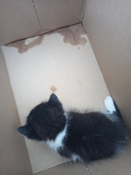 picture_305681646