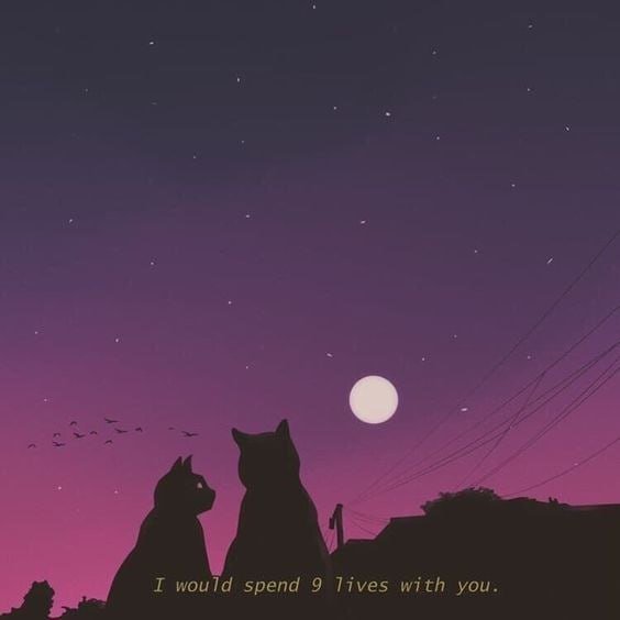 -5384220532284711927 120