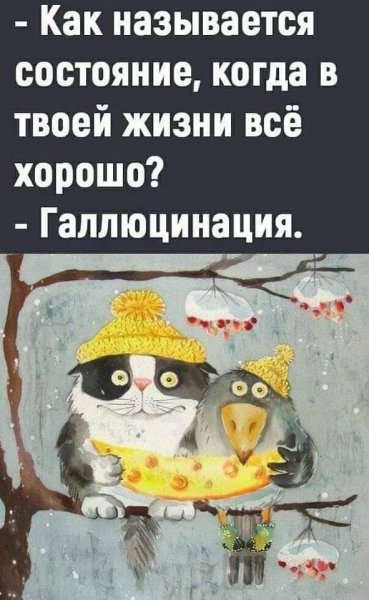 IMG 20250321 090421 580