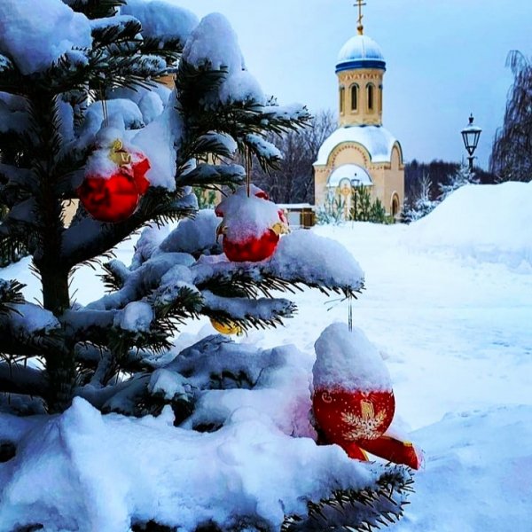 IMG 20220118 215235 105