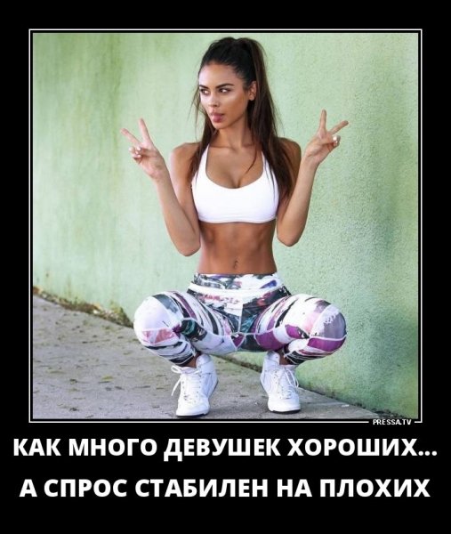 picture_238636990