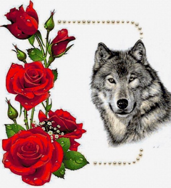 Поздравляю