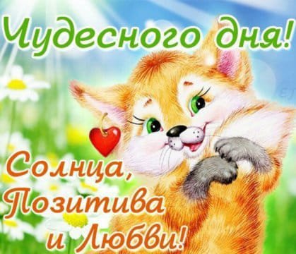 IMG-20181126-WA0001
