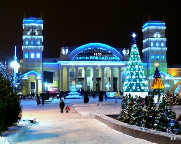 picture_227657673