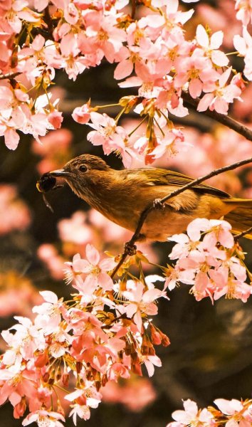 Screenshot 20240926-063428