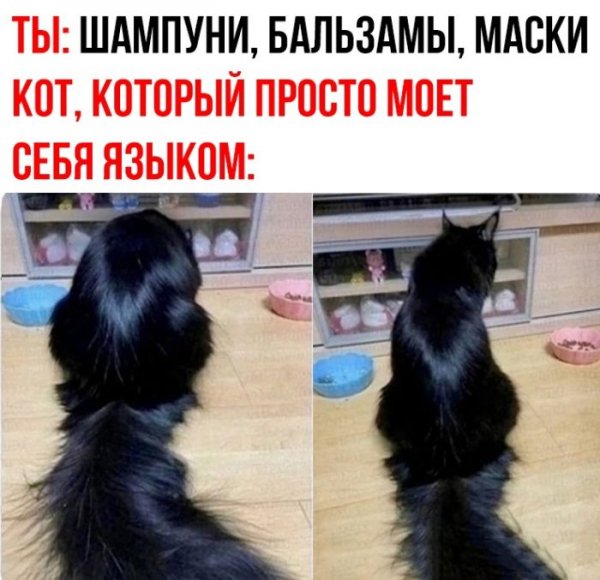 Do-slez-smeshnye-memy-i-kartinki-s-kommentarijami-7