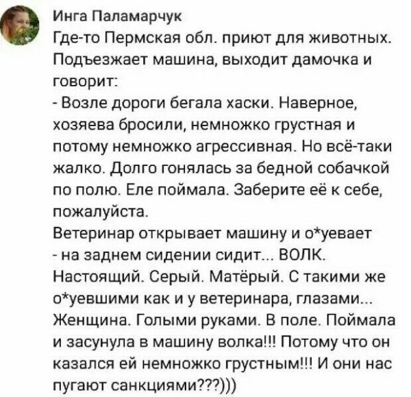 Грустная ,, собачка,,