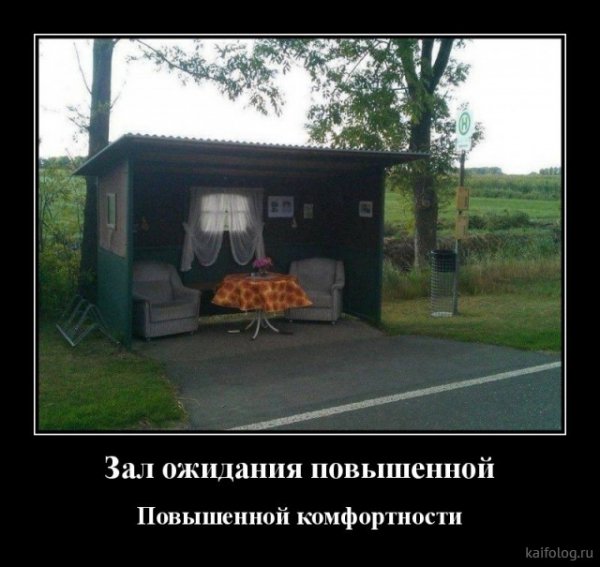 picture_382565524