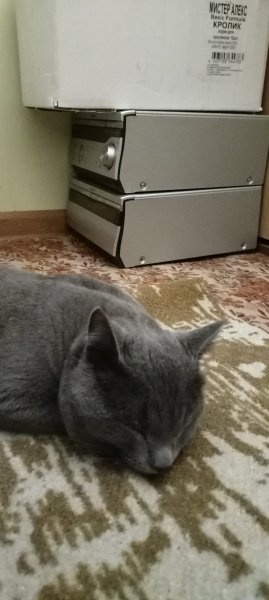 IMG 20250109 180914