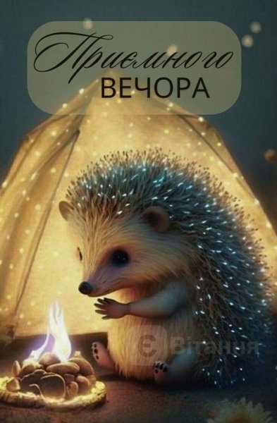 B5aaa0295a6dbb03cf35e33c8019419b