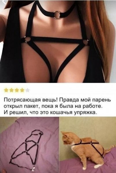 aca612483078a00ced031ded32f44