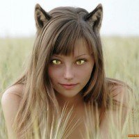 Кошка