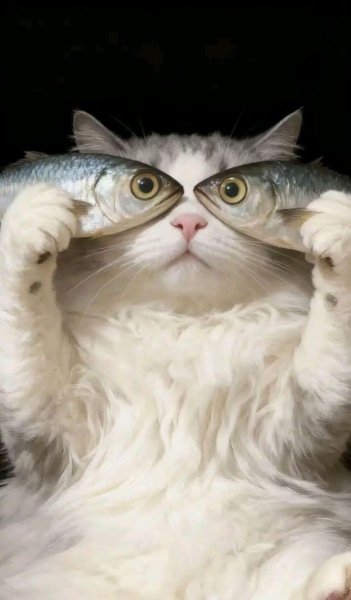 Ddc389087fdc1166145f2a9a419c4922