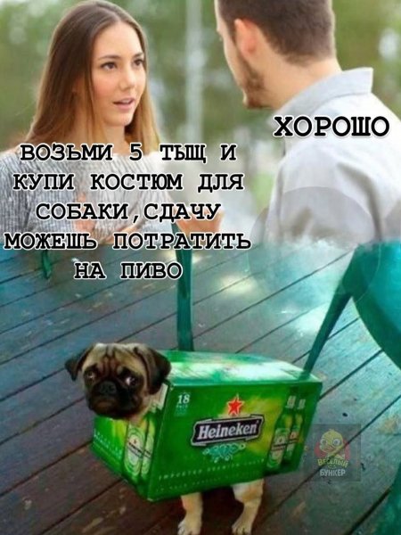 33E85819AD14D1656