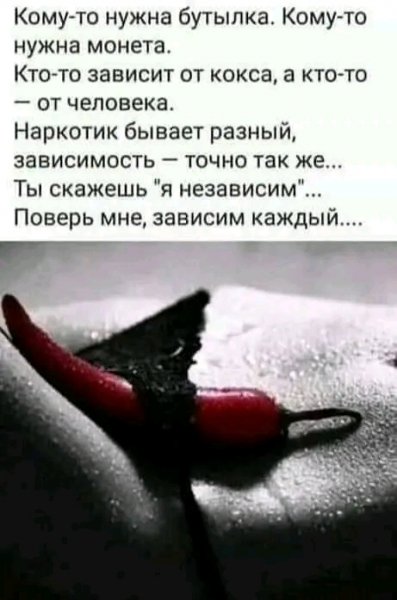 FB IMG 17087028381764661