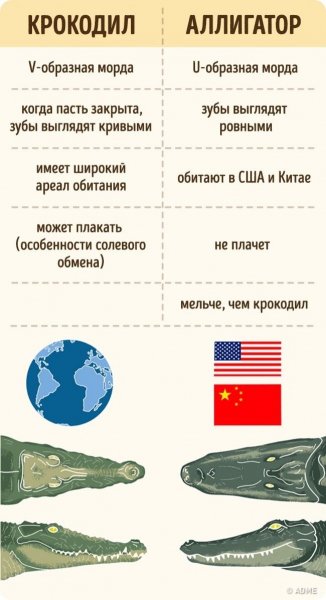 9d90d48acfadbbe75370cbe5777f12b1