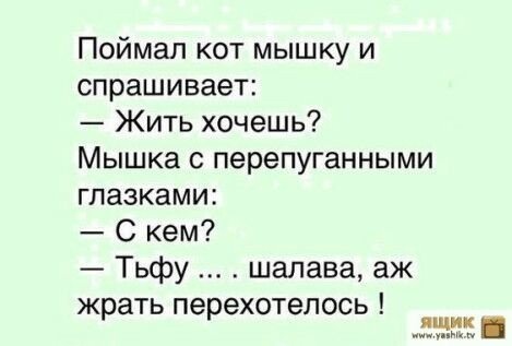 e7d7cdefb8ea6b8fdf7a1f6ed7c2f2df