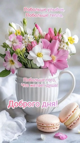 IMG 20260521 223418 516
