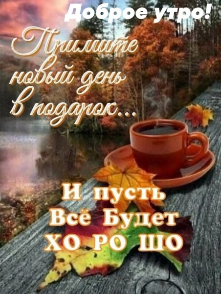 Друзья мои!