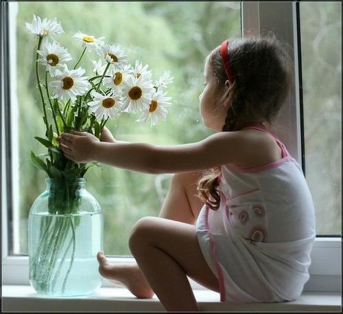 Девочка и ромашки