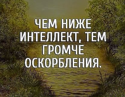 Тем громче оскорбления