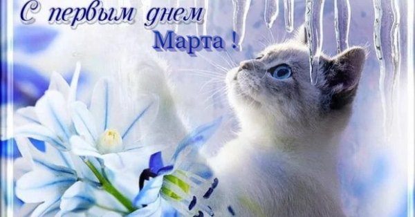С первым днём Марта