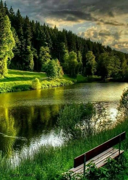 FB IMG 1555184834368