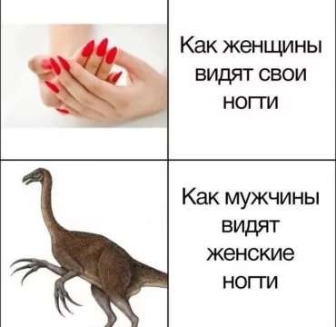 f.0.360.0