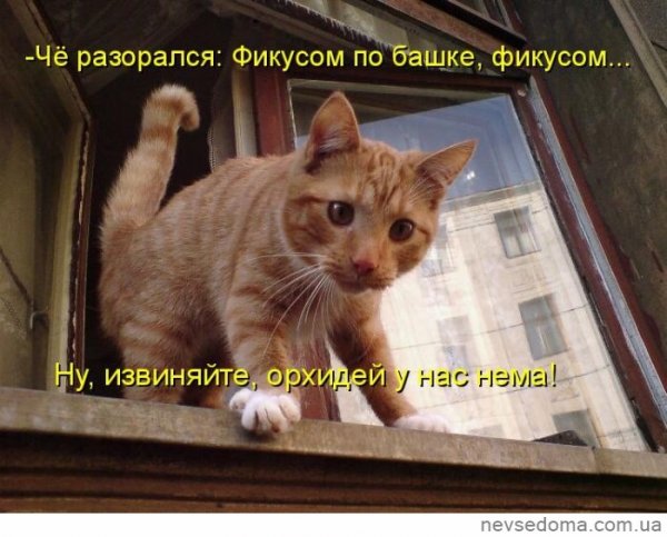 Упс!