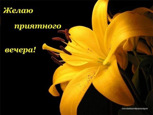 Желаю приятного вечера