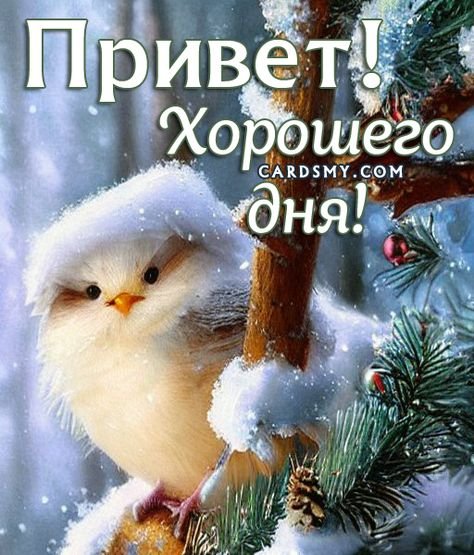 Друзья мои!