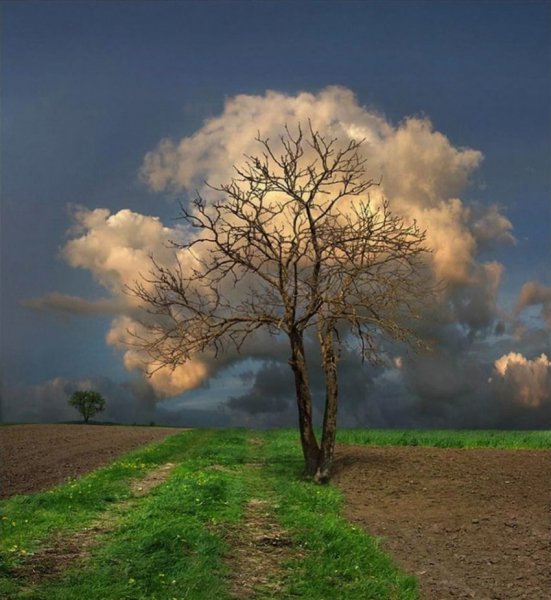 Природа