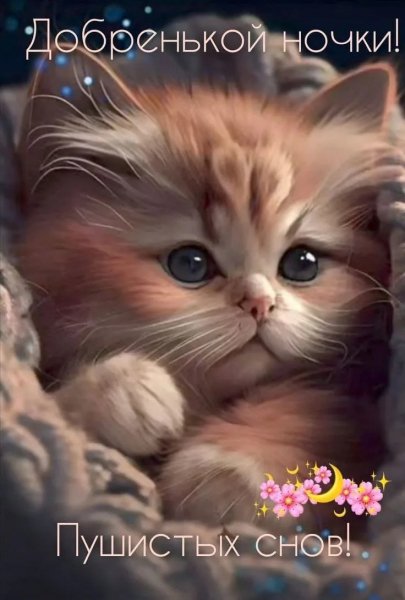 IMG 20260409 203005 166