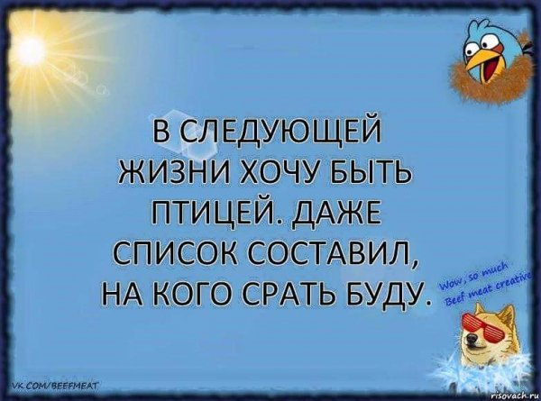 Птица