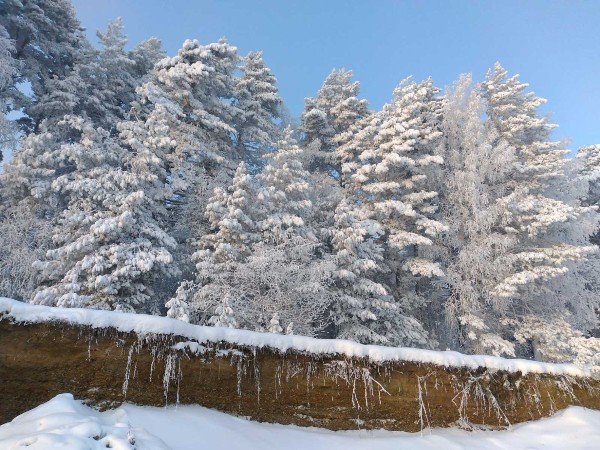 На севере диком...