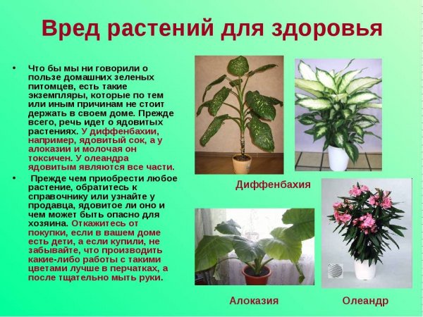 На заметку