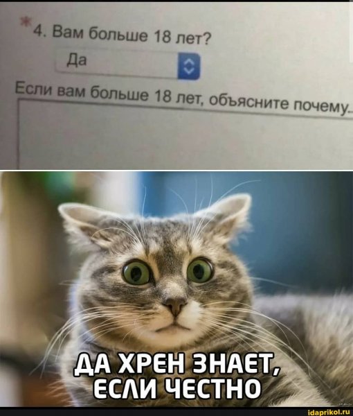 6cb7119c79bcd768f309d70ff08b2d4280e0b82a0e2d44fb0cee36417504e