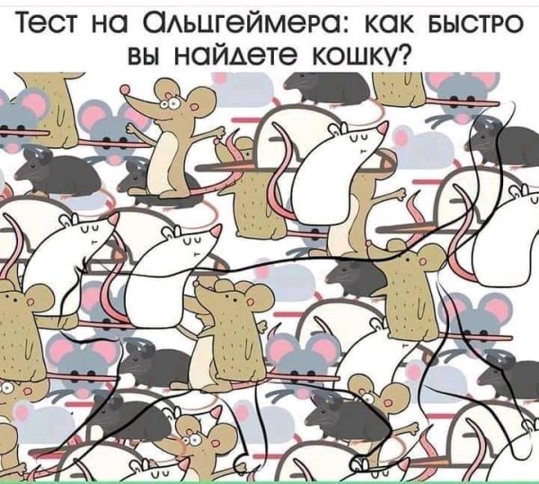 FB IMG 16450219533185853