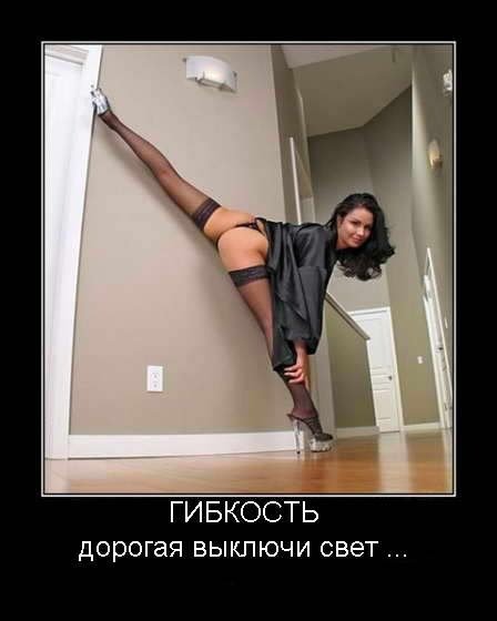 ГИБКОСТЬ
