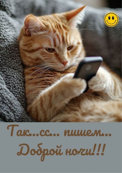 16d06378112210a8ebbddedba3ff4758