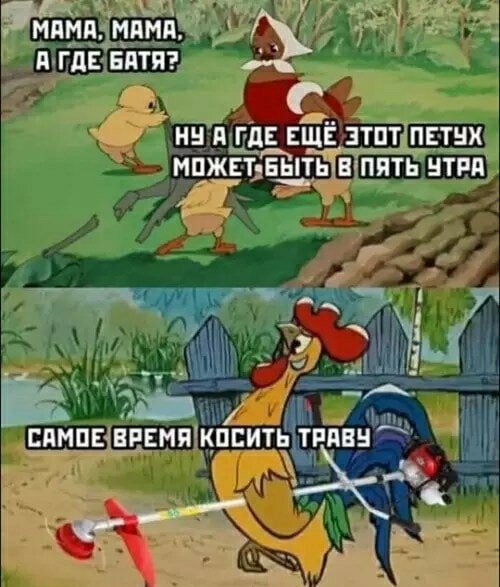 Сезон открыт )