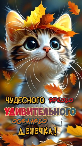 7cf729be71d674a46aea6bfcbcf95eff