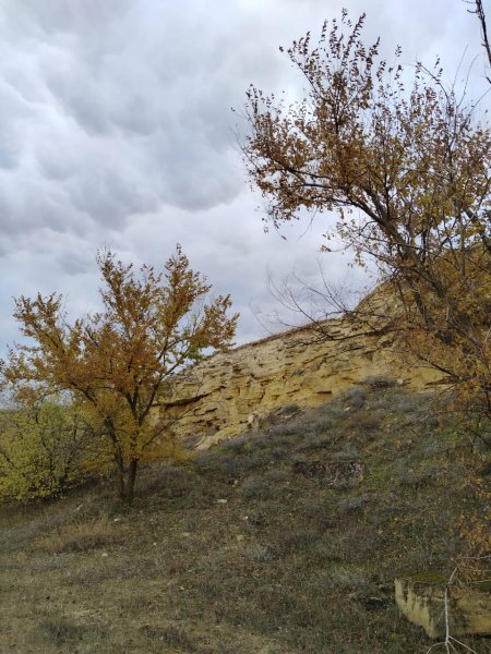 picture_399939365