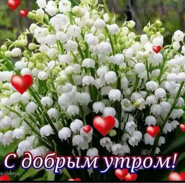 IMG-20210510-WA0001