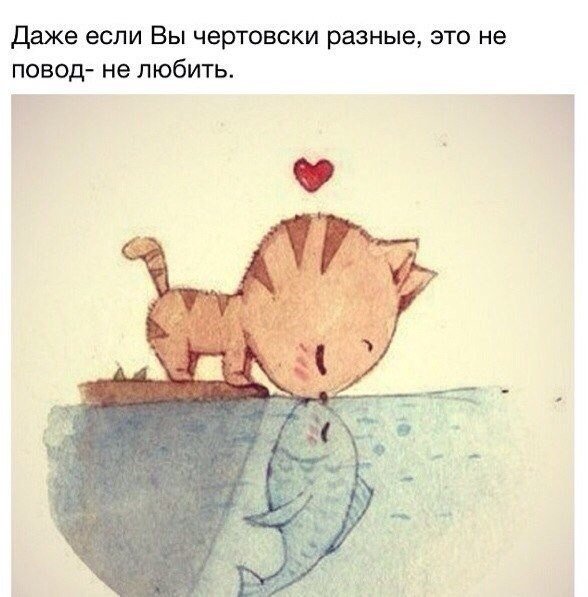 pXGwvZlbn8Q