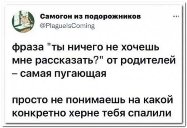Жиза