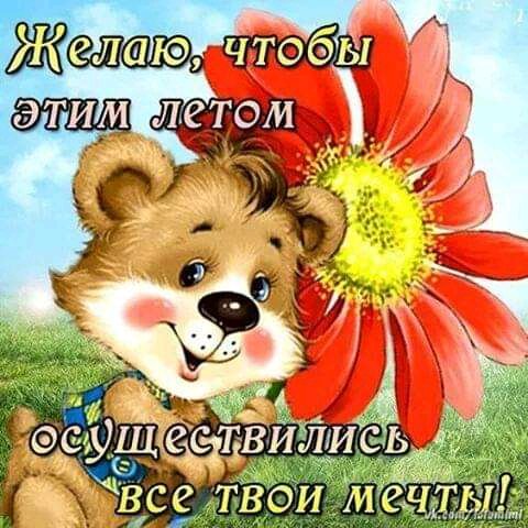 FB IMG 16246107995115824